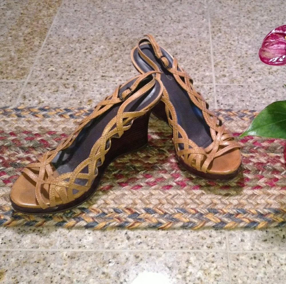 Aldo Platform Sandles